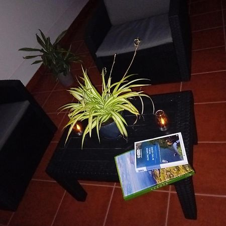 Casa 84 Lejlighed Ponta Delgada Eksteriør billede